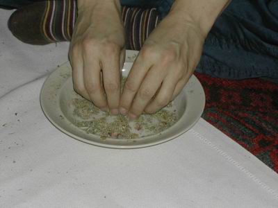 Resize of 126.jpg