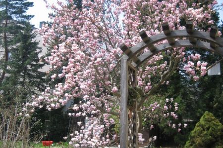 Garten_Ziezenbacher_4.jpg