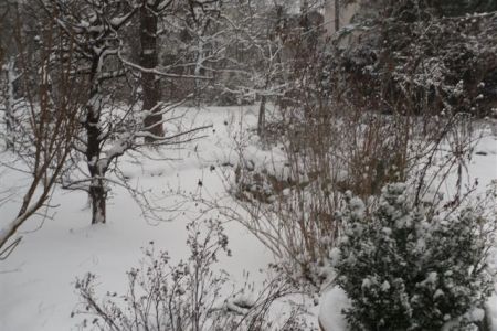 Garten_Ziezenbacher_6.jpg