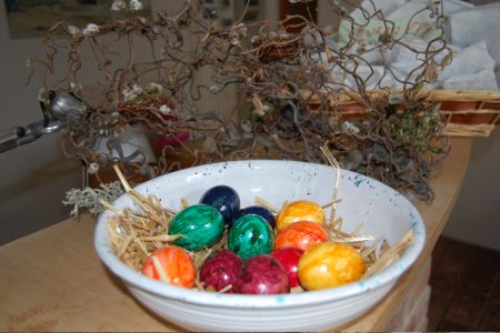 Nest1.jpg